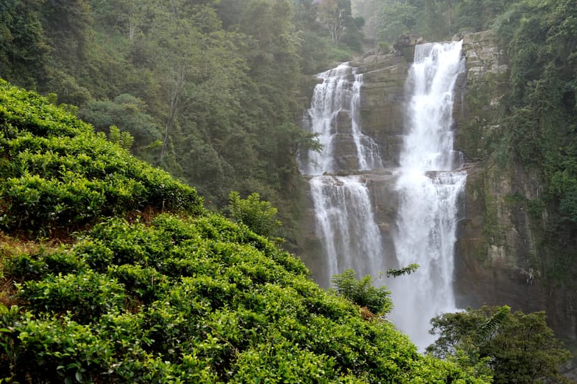 Popular travel destination for tours and experiences